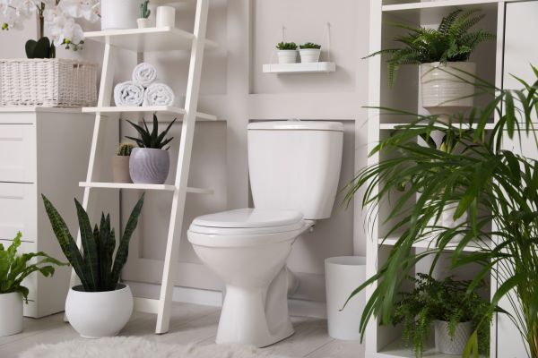 Toilet Repair in Marysville